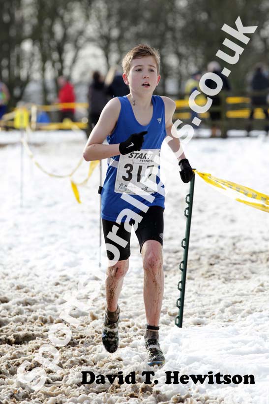 Kieran Hedley (Morpeth Harriers) under-13s  Northern Cross Country Championships.